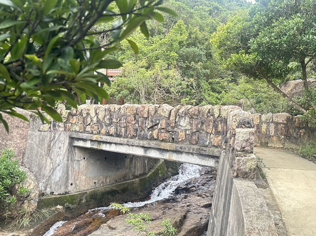 🏞️ 太古後花園： 柏架山道自然徑的綠色旅程