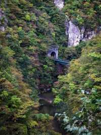 🌾 หุบเขานารุโกะ (Naruko Gorge, 鳴子峡)