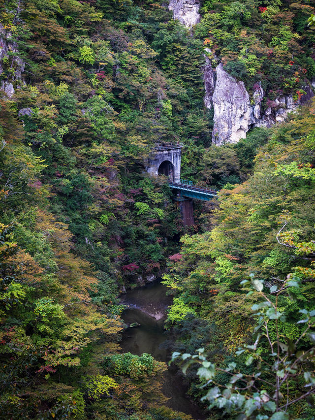 🌾 หุบเขานารุโกะ (Naruko Gorge, 鳴子峡)