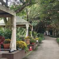 Camellia Hill Botanical Garden