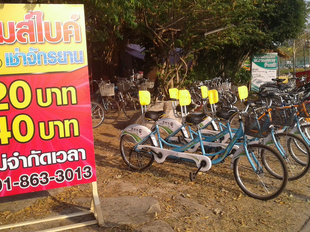 เป็ดเหลืองที่หนองประจักษ์