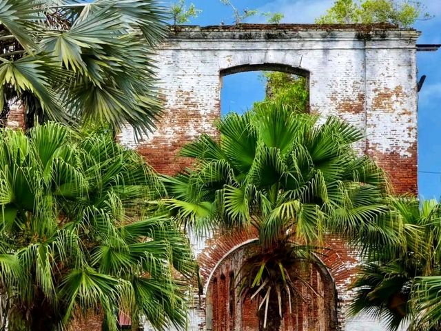 🏛️ Historic Inner City of Paramaribo – Where Cultures, Colors, and Centuries Meet