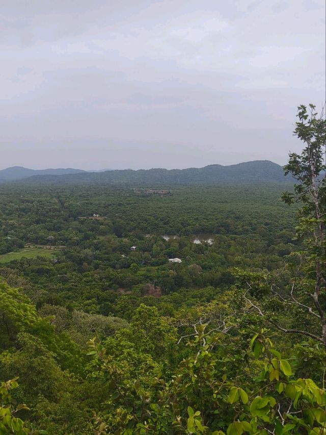 Nature Escape with amazing view🍃