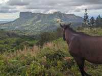 Koroyanitu National Heritage Park