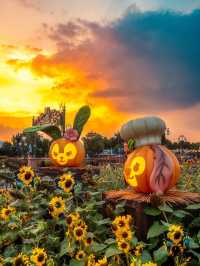 ! 🎃 ชุดฮาโลวีน - ฟักทอง  Seven Treasures ริมทะเล