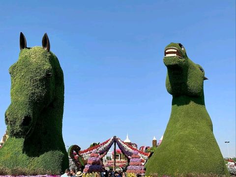 A Blooming Wonderland of Color and Creativity