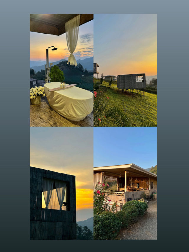 ที่พักมีชื่อว่า Stay Doi อยู่ อ.แม่แตง จ.เชียงใหม่ ที่พักมีชื่อว่า Stay Doi อยู่ อ.แม่แตง จ.เชียงใหม่