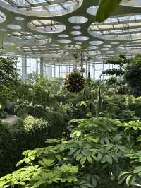 在上海城市裡的祕密仙境 🌈🌺 