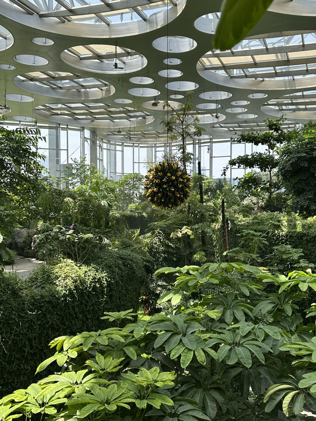 在上海城市裡的祕密仙境 🌈🌺 