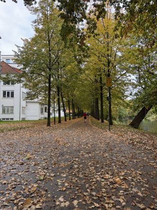 เสน่ห์โบราณของเบรเมิน: อัญมณีที่ต้องไปเยี่ยมชมในเยอรมนี 🇩🇪✨