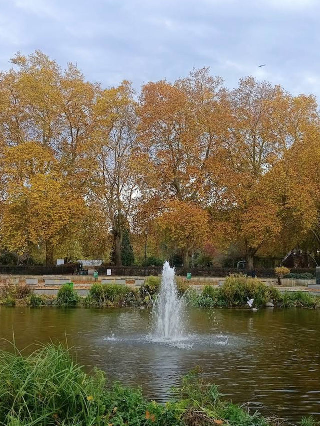 🏰🌿 Heritage & Gardens at Fulham Palace 🕰️✨