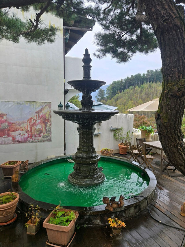 🤎가평 릴리 숲뷰가 아름다운 가을 추천🧡