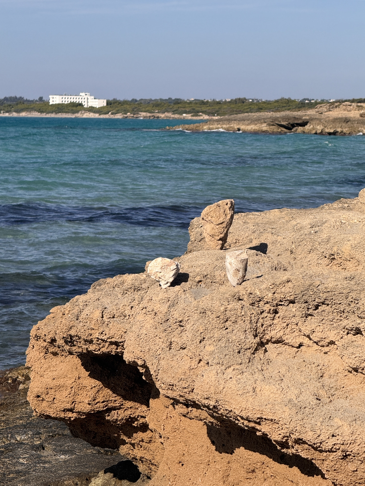 A beach where nature is alive