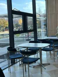 쾌적하고 넓은 브런치 카페💚 오후의 작은 여유