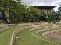 ชุมชนคนชิค : บ้านข้างวัด