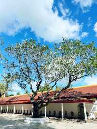 วัดพระธาตุพนมวรมหาวิหาร — แลนด์มาร์กศรัทธานครพนม