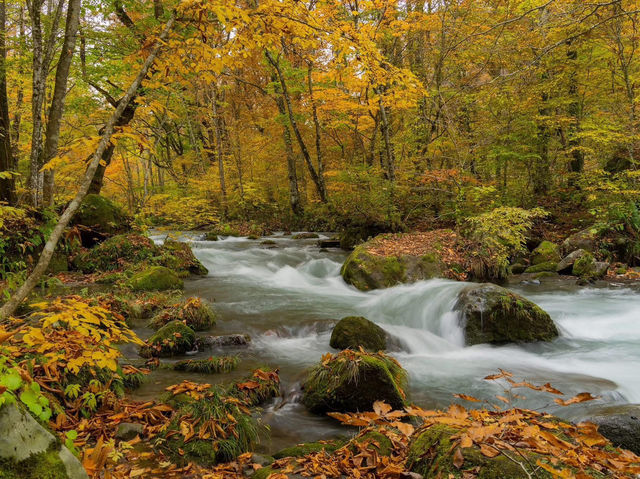 跟著松尾芭蕉的足跡～東北奧之細道賞楓