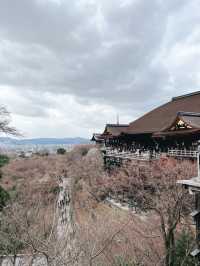 ⛩️京都清水寺｜一次走進千年古都的浪漫與驚嘆✨