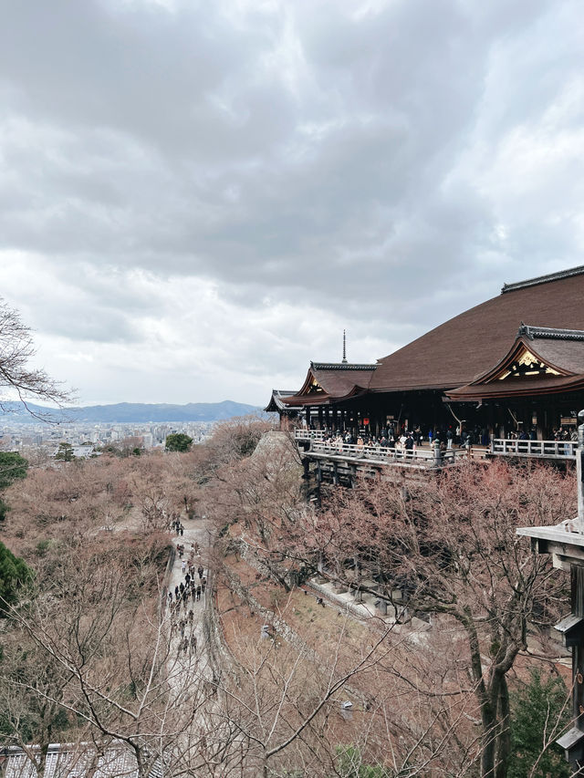 ⛩️京都清水寺｜一次走進千年古都的浪漫與驚嘆✨