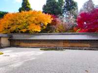 京都龍安寺秋日賞楓必到秘境🍁一場視覺與心靈的雙重盛宴