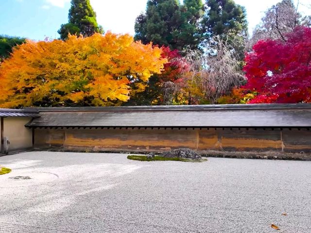 京都龍安寺秋日賞楓必到秘境🍁一場視覺與心靈的雙重盛宴
