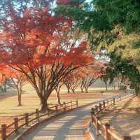 ๐๊ฒฝ์ฃผ์ ๋ฐค์ ๋น์ ์ ๋ฎ๋ณด๋ค ์๋ฆ๋ต๋ค