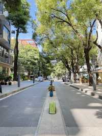 📸 處處好拍的南山 Cafe · Greenwood