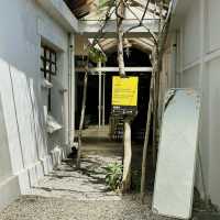 Earthy Sips & Subtle Scenes