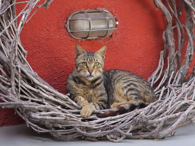 聖托里尼:世界最美日落&夢中的藍白愛情海 聖托里尼:世界最美日落&夢中的藍白愛情海