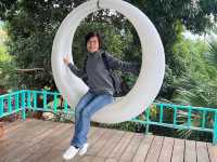 《雲河星空景觀餐廳|夜景、美拍、盪鞦韆一次滿足的浪漫景點!