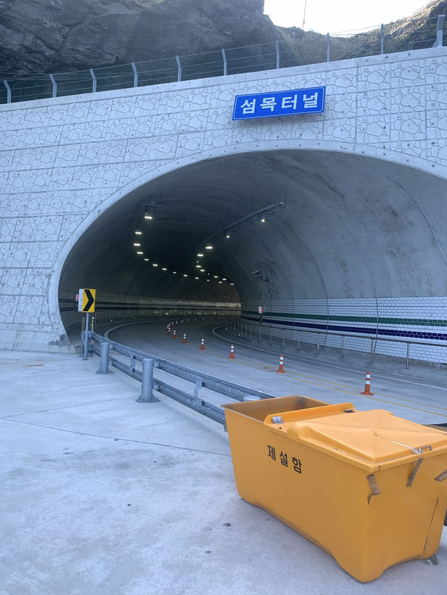 Blue Bridge Magic🌊 Blue Bridge Magic🌊