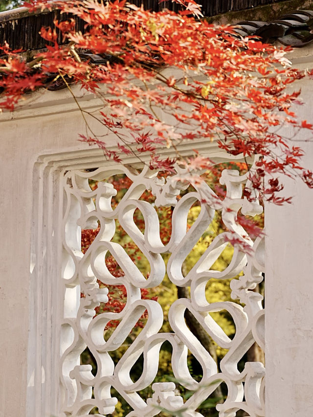 【拙政园】蘇州の秋を象徴するような🍁穏やかで美しい時間でした🍁 【拙政园】蘇州の秋を象徴するような🍁穏やかで美しい時間でした🍁