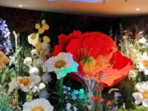 พื้นที่การจัดโซนดอกไม้ที่ NEXTOPIA สยามพารากอน