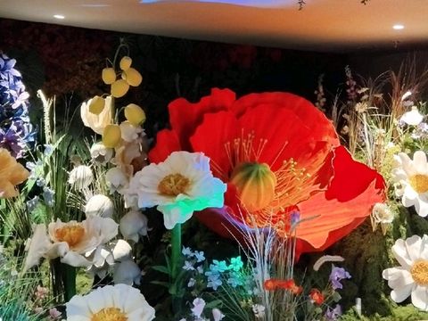 พื้นที่การจัดโซนดอกไม้ที่ NEXTOPIA สยามพารากอน พื้นที่การจัดโซนดอกไม้ที่ NEXTOPIA สยามพารากอน