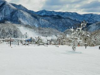 สวรรค์แห่งผงแป้ง🏔️