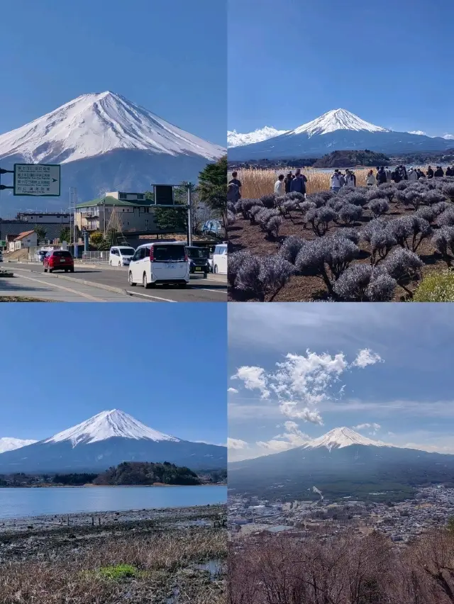 在河口湖欣賞富士山的壯麗景色