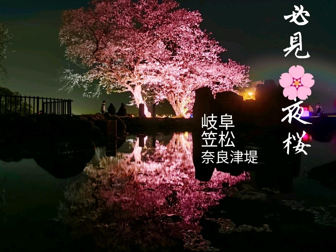 岐阜】絶対必見🌸夜桜観光スポット | Trip.com 笠松町