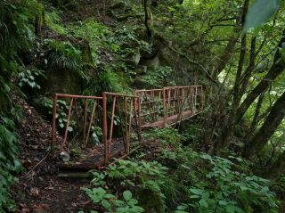 福井の自然が織りなす魔法。