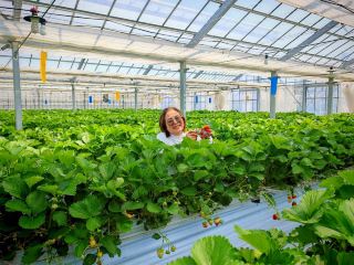Yamamoto Strawberry Farm.