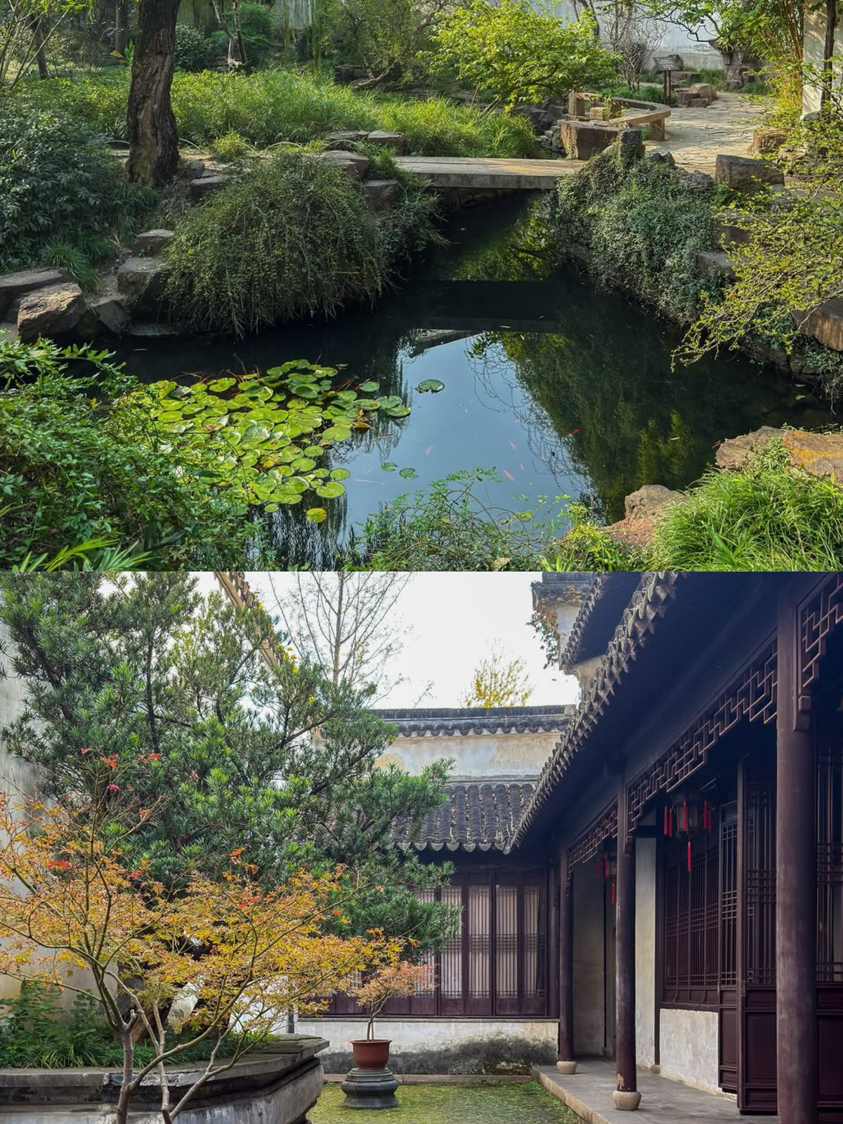 留園（Lingering Garden）：中国・蘇州 。 | Trip.com 蘇州