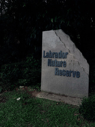 Let's Take a Stroll at Labrador Nature Reserve @ Singapore.