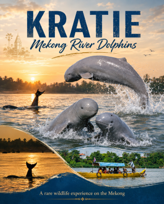 Kratie Mekong River Dolphins: A Rare Wildlife Moment on the Mekong 🐬🌅