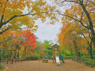 Jalan-santai di Taman Kota Seoul