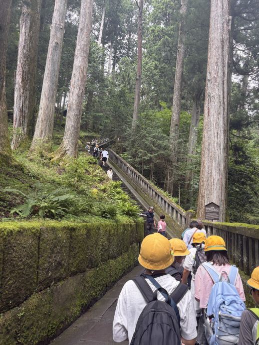 🙉夏の日光は避暑になるのか？🍧検証した🔍 | Trip.com 日光