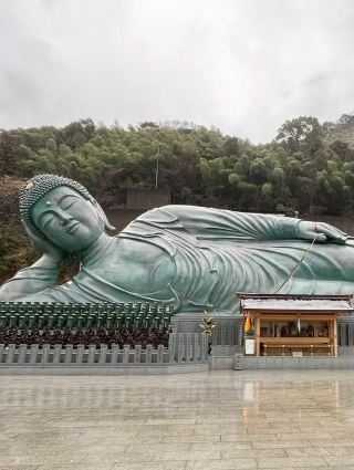 福岡能量景點的精彩之旅🌿