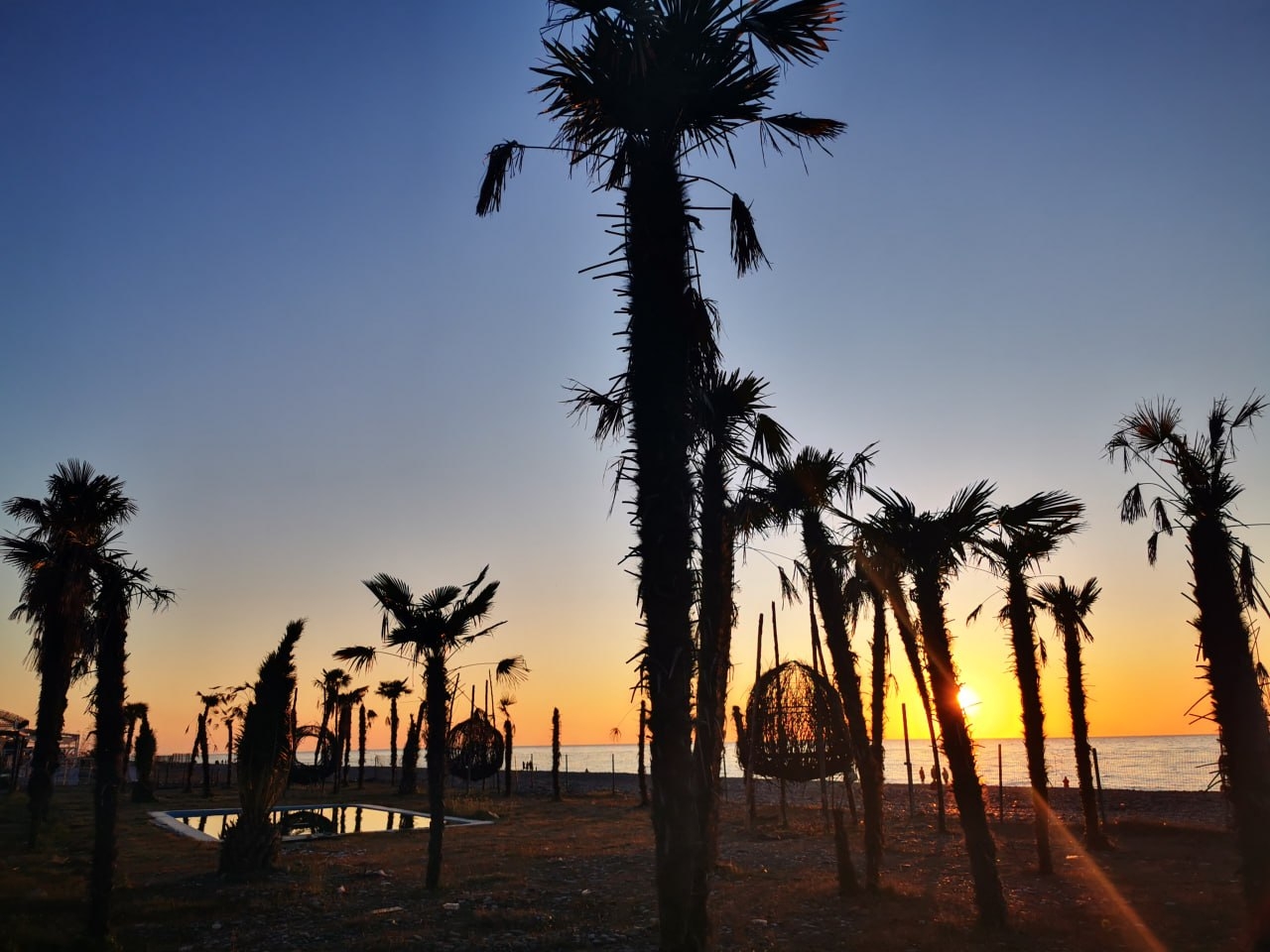 Batumi - Sunset Through the Palm Trees
