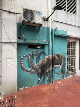 🎨 Old Klang Road’s Hidden Canvas: Discovering the Street Art of Klang