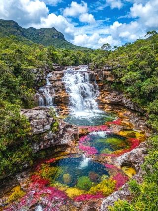 Exploring Caño Cristales, Colombia: The Ultimate Guide to the Dreamy "Liquid Rainbow"