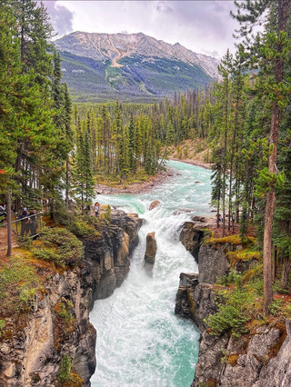 Sunwapta Falls, Canada 🇨🇦

Sunwapta Falls is one of the most spectacular waterfalls in Jasper National Park, Alberta, along the famous Icefields Parkway. The falls are created by the Athabasca River, which plunges dramatically through a narrow canyon surrounded by the Canadian Rockies.

🏔️ Why visit?

· 💦 Powerful waterfalls surrounded by dramatic mountain scenery
· 🌲 Beautiful alpine forests and wilderness
· 🥾 Easy trail to the main waterfall, with a longer walk to the Lower Falls
· 📸 Incredible viewpoints, especially when the river is flowing strongly
· 🛣️ A perfect stop while driving the Icefields Parkway between Jasper and Banff
· ❄️ Particularly beautiful in late spring and summer when snow and glacier melt increase the river flow

📍 Location: Jasper National Park, Alberta, Canada
🚗 About 55 km from Jasper
