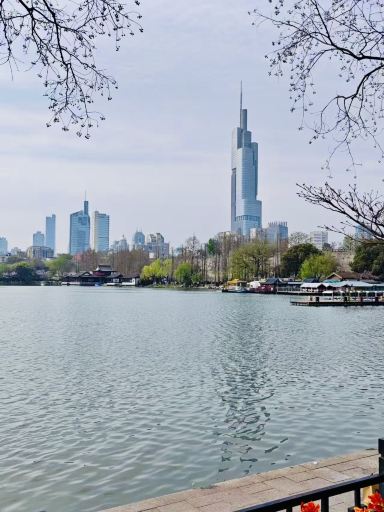 Where are China's most stunning cherry blossoms? @Xuanwu Lake, Nanjing.